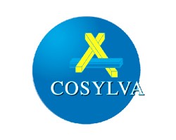 Cosylva