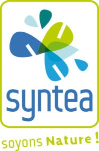 Syntea