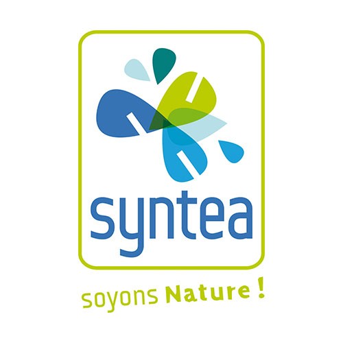 Syntea