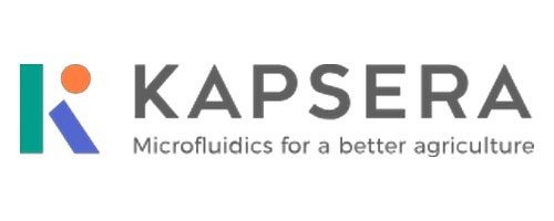 Kapsera