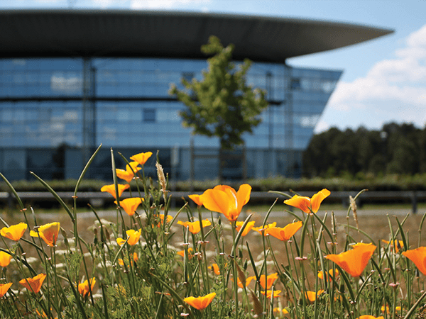 Bureaux modulables et équipés sur la Technopole Bordeaux Montesquieu à Martillac
