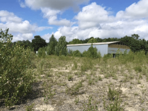 Terrain de 5 ha à louer à Plassac