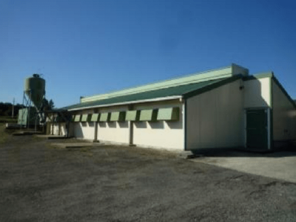 Bâtiments à vendre - Horsarrieu (40)